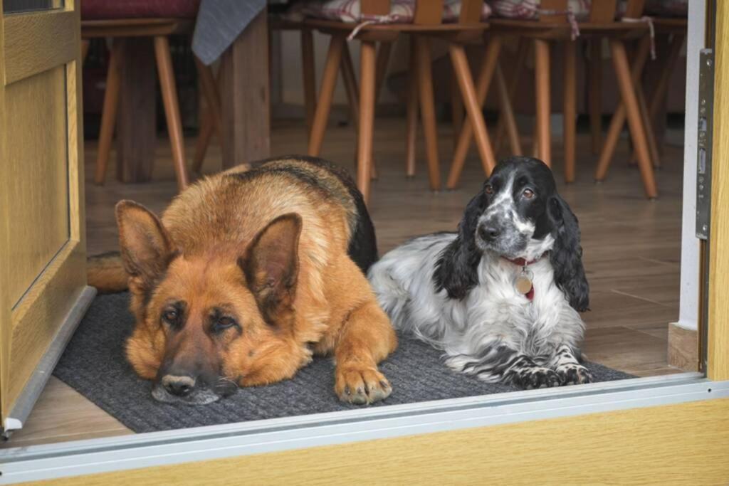 Útulný domek v zahradě v Unhošti nedaleko letiště Exterior foto